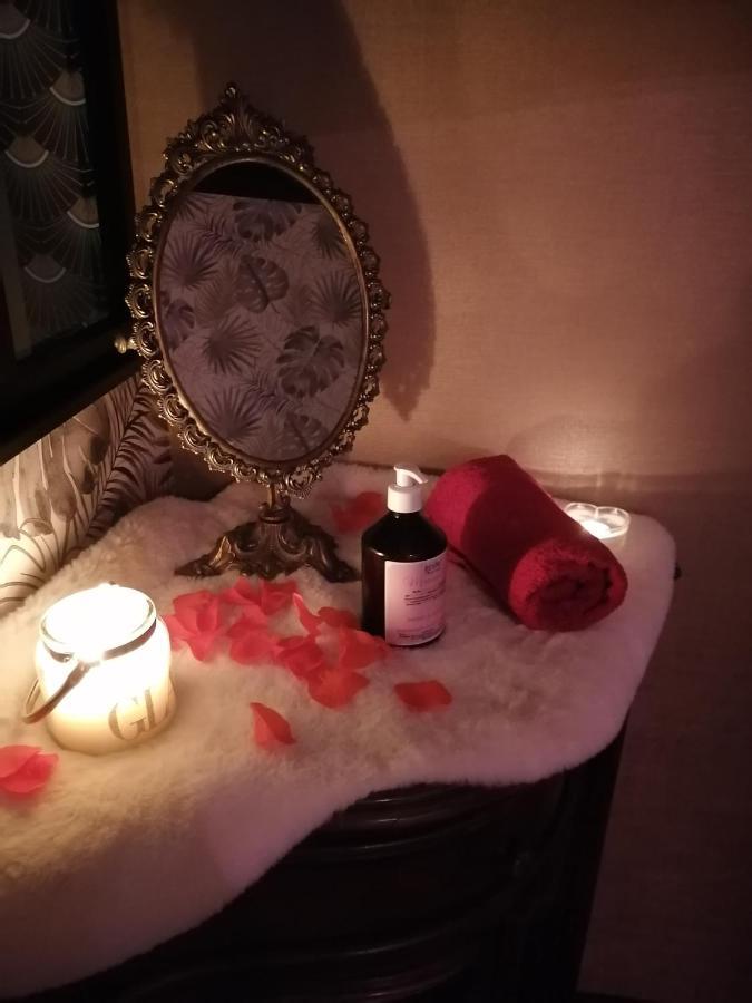 Romantisme Et Glamour Avec Spa ,Jardin Proche Zenith Ντιζόν Εξωτερικό φωτογραφία